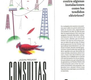Publicación en la revista Buena Vida suplemento de El País