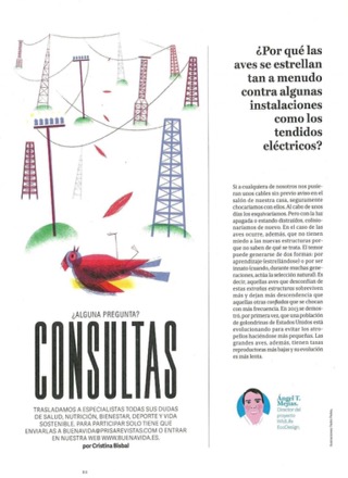 Publicación en la revista Buena Vida suplemento de El País