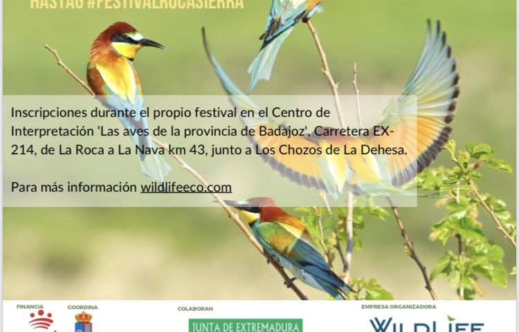 VI Festival de las Aves y la Naturaleza de La Roca de la Sierra