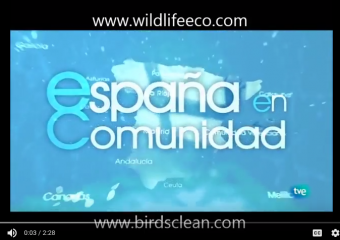 Birds Clean en «España en Comunidad» de La 2